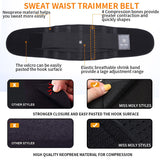 Waist Training Sweat Belt